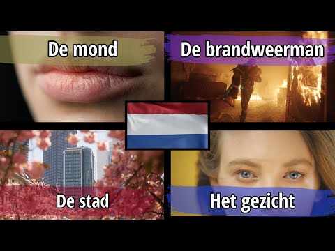 400 Dutch Words for Everyday Life - Basic Dutch Vocabulary for Beginners
