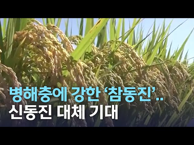 병해충에 강한 '참동진' 개발