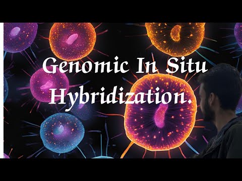 Genomic In Situ Hybridization | GISH.