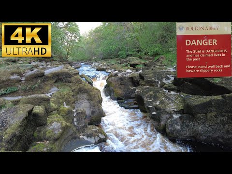 The Most Dangerous Stretch of River On Earth - THE STRID - Bolton Abbey UK 100% Fatality Rate ☠️ 4K
