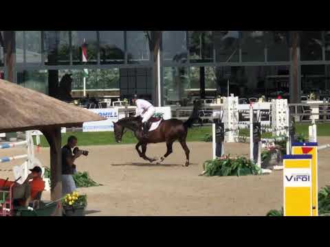 Carthino Z x Caretano CSI Zuidwolde