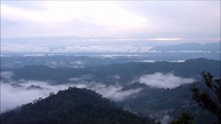 preview picture of video 'Brume sur la jungle, Thaïlande'
