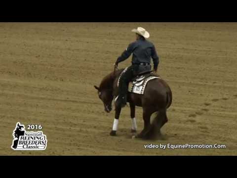 SDP Buffalo Ranch welcomes This Guns For Nic!