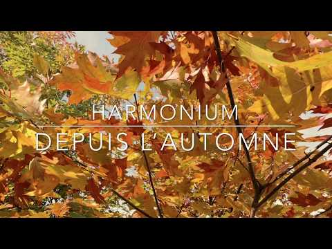 Depuis L'automne video