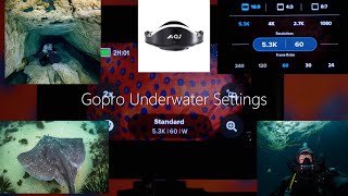 Gopro underwater settings for AOI UWL-03 Wide Angle Lens