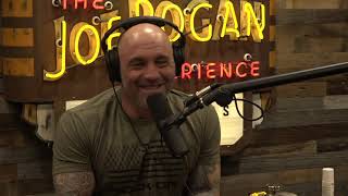 JRE 1659 - Scott Eastwood