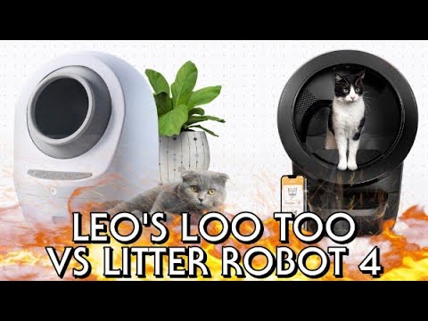 Leo's Loo Too vs Litter Robot 4