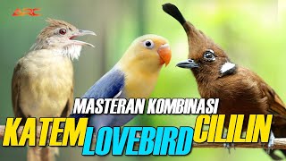 Download lagu KOMBINASI MASTERAN CILILIN - KATEM - LOVEBIRD mp3