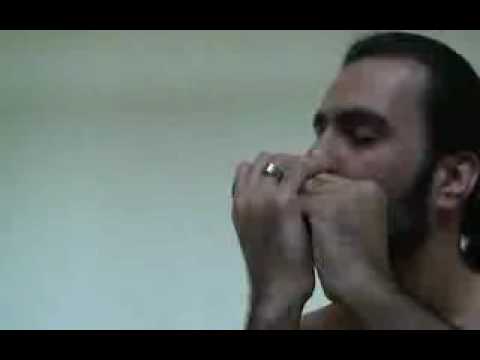 gole taze chaman - گل تازه چمن