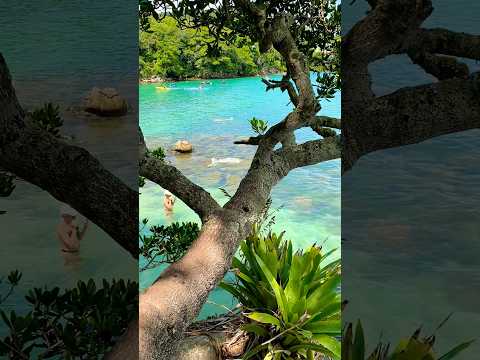 Paraíso em Santa Catarina, cidade Bombinhas, Praia da Sepultura 🌊🐟🐚🐠⚓️