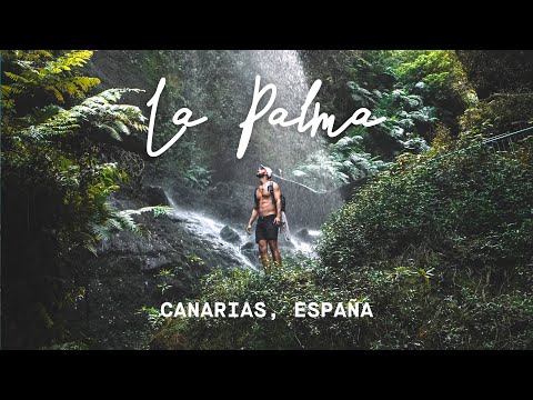 LA PALMA, the island everyone is talking about (Canary Islands, Spain) 4K