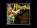 The Hormonauts - Turkey Jive