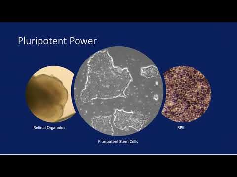 Meet One of the CRF’s New & Exciting Researchers - Abigail Fahim, MD, PhD