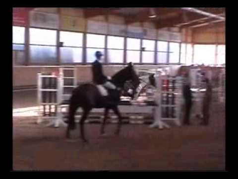 Kaja Celine Hofmeister - Pallas blue Print - Biberach - Springen