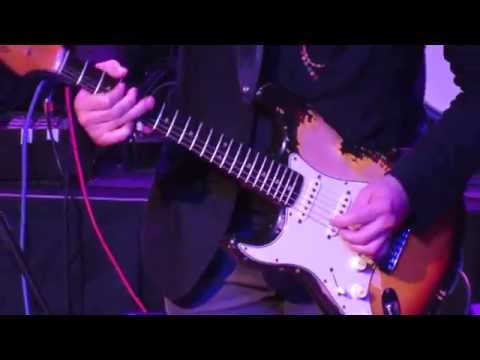 Doyle Bramhall II - Feel Flows at Brian Fest