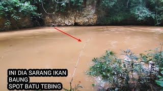 Download lagu BEGINILAH JIKA SPOT INI JARANG DI JAMAH PEMANCING.SPOT BATU TEBING SARANG IKAN BAUNG BABON mp3