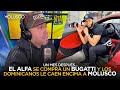 El ALFA presenta su BUGATTI y Dominicanos se comen con yuca a Molusco 😱 El ALFA presenta su BUGATTI y Dominicanos se comen con yuca a Molusco 😱