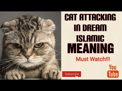 Seeing cat attacking in dream meaning | Islamic dream meaning of cat