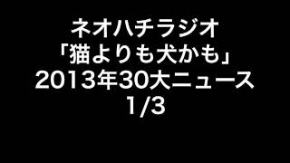 neohachi radio「猫よりも犬かも」2013年30大ニュース 1/3