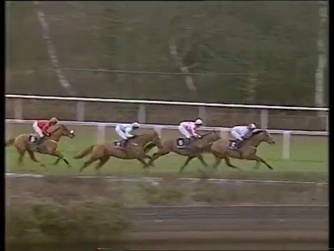 1996 Long Walk Hurdle