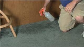 Carpet Cleaning : How to Remove a Damp Smell from Carpet