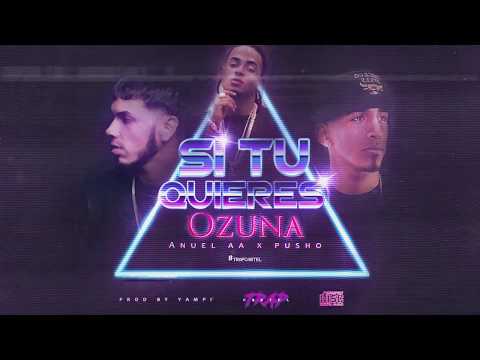 Ozuna x Anuel AA x Pusho - Si Tu Quieres