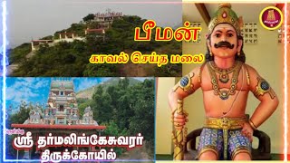 Temple video