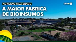 Miniatura do vídeo