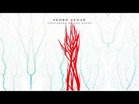 Pedro Aznar | Chacarera de los Gatos (Oficial)