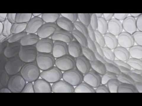 The Tetrahedrons - Star Babies - "On Board The Ship"