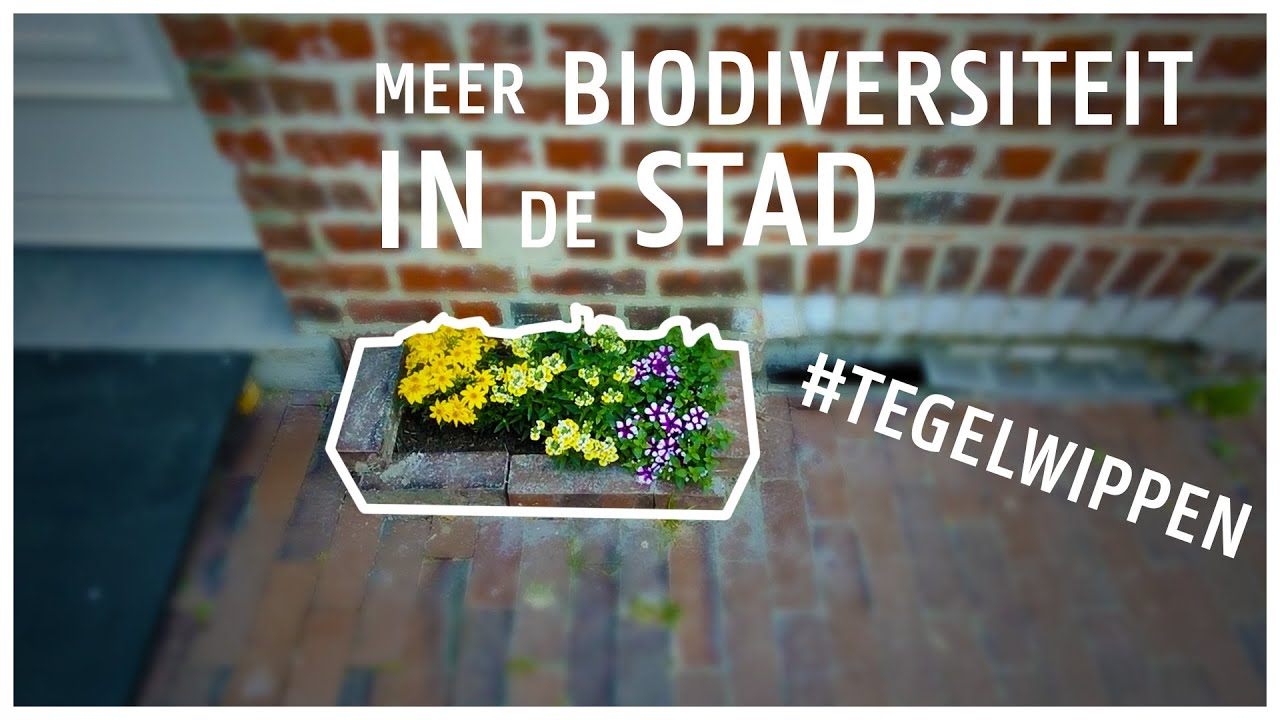 Cybernetics & Systems Oriented Design 2023