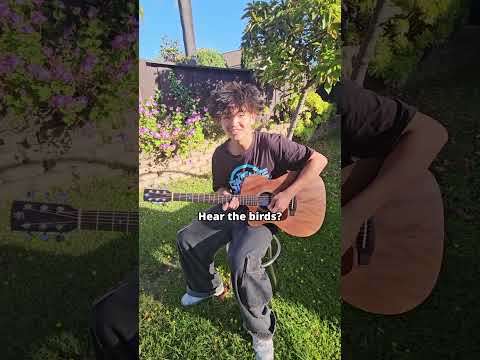 The birds sounded like the guitar #guitar #music