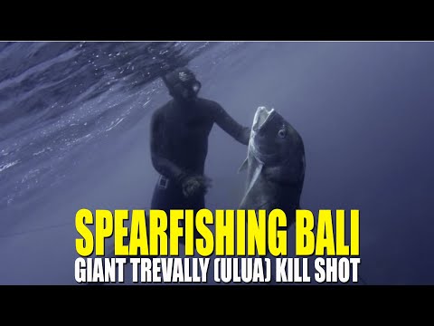 Spearfishing Bali, Giant Trevally  Kill Shot