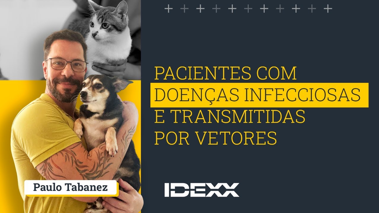 🇧🇷 🟡Dr. Paulo Tabanez | Pacientes positivos para doenças infecciosas e transmitidas por vetores