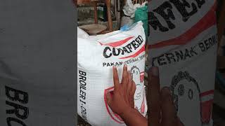 Download lagu Harga pakan ayam per karung Juli 2025 #shorts mp3