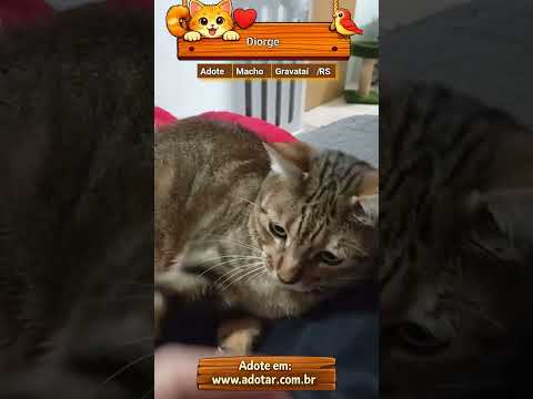 Vídeo de Diorge