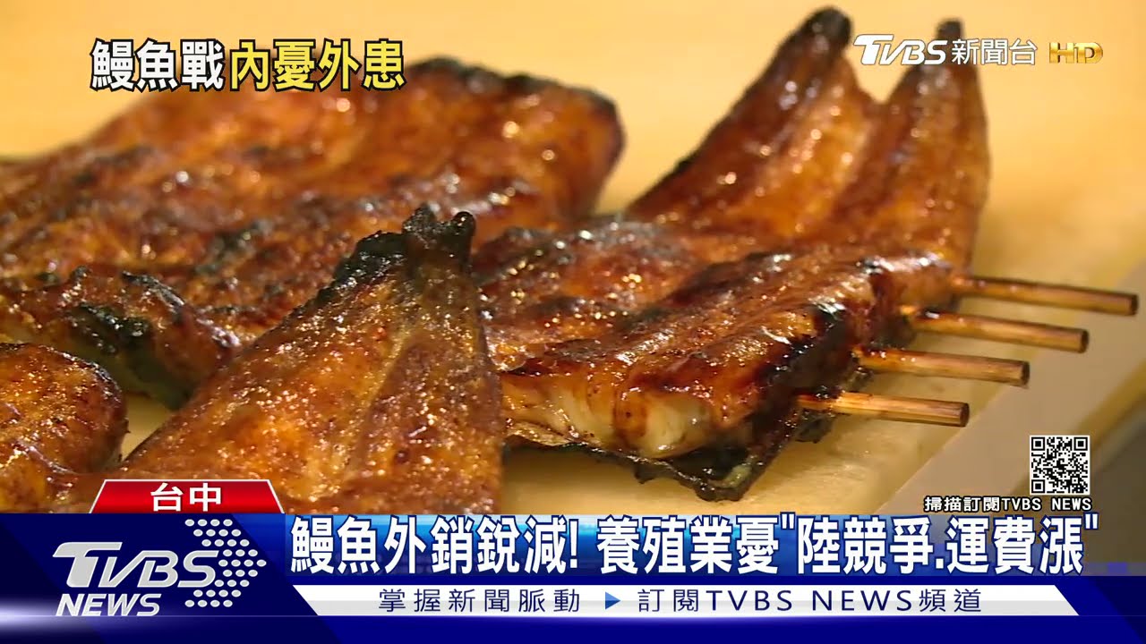 鰻魚外銷銳減！養殖業憂「陸競爭、運費漲」