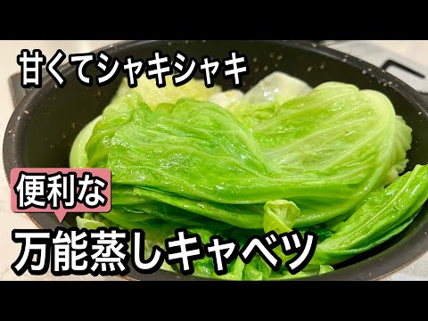 白キャベツの保存: キャベツはどのようにして長持ちしますか? 植物