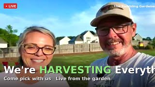 🌿 LIVE Harvest Day! Herbs, Veggies & Garden Chaos | The Rambling Gardeners