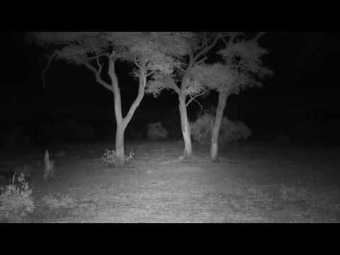 Djuma: Sights and sounds - 01:45 - 12/12/19