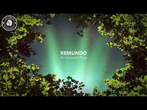 Remundo - The Essential Things