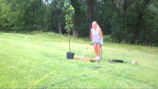 Hines Farm - Fruit Tree Planting, 6-23-2012