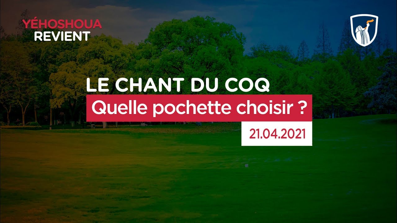 Thumbnail of video: Quelle pochette choisir ?