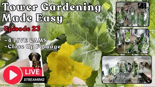 Tower Gardening Made Easy LIVE CAM #towergarden #hydroponicgardening #garden #farm #aeroponic