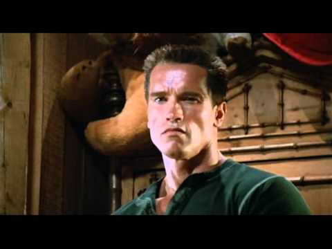 COMMANDO - RIGHT ? - WRONG !!!