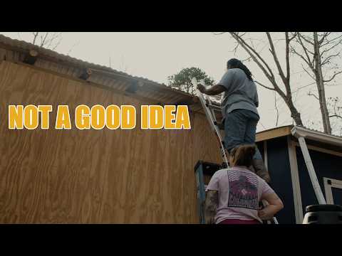 Finally Cutting the Roof on the Log Shed! (Homestead Build)
