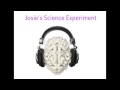 Dichotic Listening