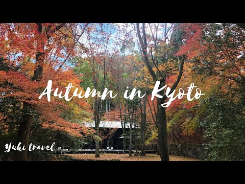 Autumn in Kyoto, Afternoon tea at Aman Kyoto