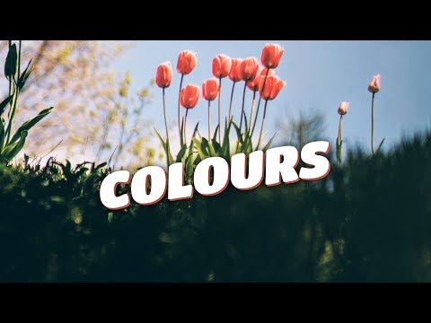 Zeus X Crona & Denis Elezi & Chris Linton - Colours (Lyrics Video) [Magic Free Release]