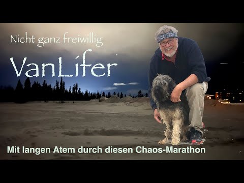 Roadtrip mit Hund im Kastenwagen. Norwegen 2021 Teil 1